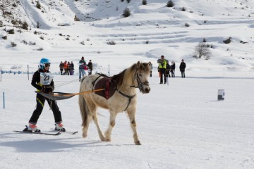 Championnat de France Ski Joëring Ceillac 2025